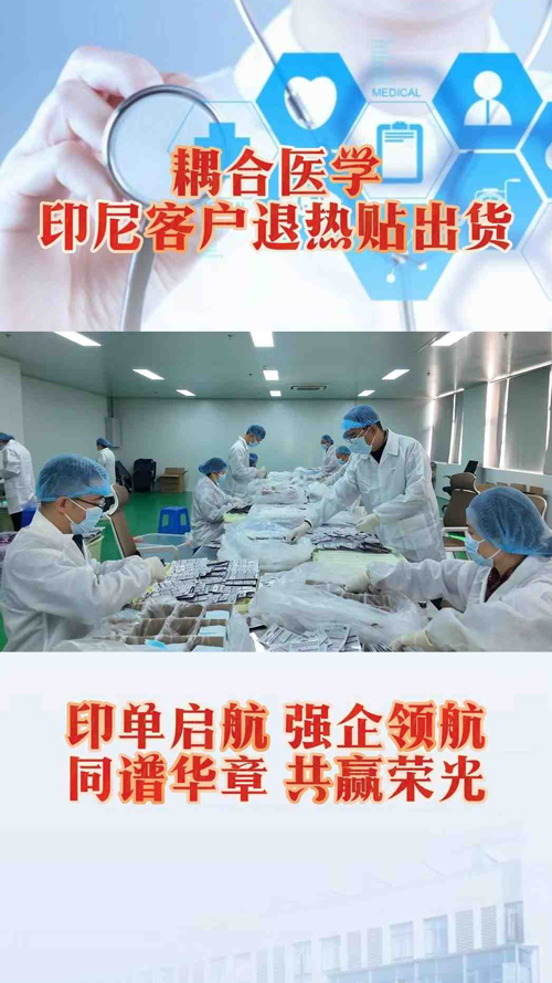 武汉耦合医学印尼客户退热贴出货