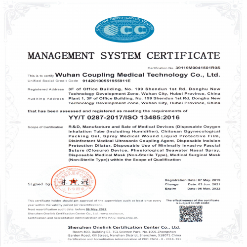 武汉耦合医学-ISO证书英文